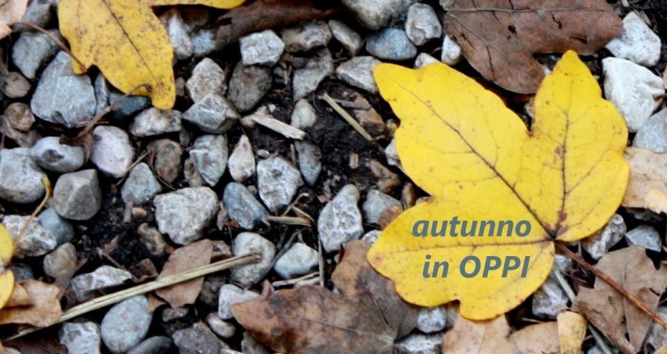 preview article I POMERIGGI FORMATIVI OPPI – autunno 2015